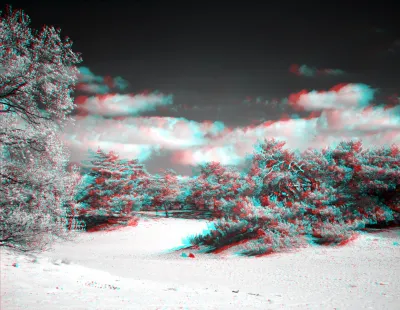 A deep view into a forest with desertification: sand sided with trees. Some nature loving folks actually like that sand, because it houses various special species, like lizzards. I am opposed to cutting forest in the Netherlands, because we need the shade and the wet soil. The clouds look extra far away, because they drifted from left to right between the two pictures I took.