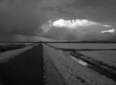 A dark image. The bottom half is a farmers road on a low dyke, that goes straight to the horizon. Its vantage point is at 2/5ths of the image, from the right, Emphasized by the only tree at the horizon at that point. This is a detail, a small black blip on a black textured horizon line. The road and some bushes form a black square at the bottom left. To the right, the image is dark grey. It is diagonally and horizontally intersected by two water filled ditches. 
The sky is dark, heavy overcast. To the left there is a rainstorm. But to the right, the sun brightens up a could intensely. It is reflected in the diagonal ditch underneath it.